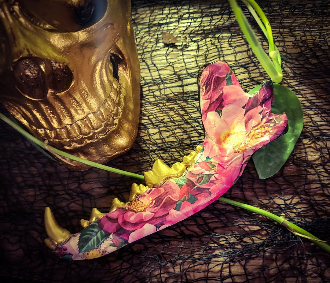 Hand Painted and Embellished Coyote Jaw Bones - Etsy