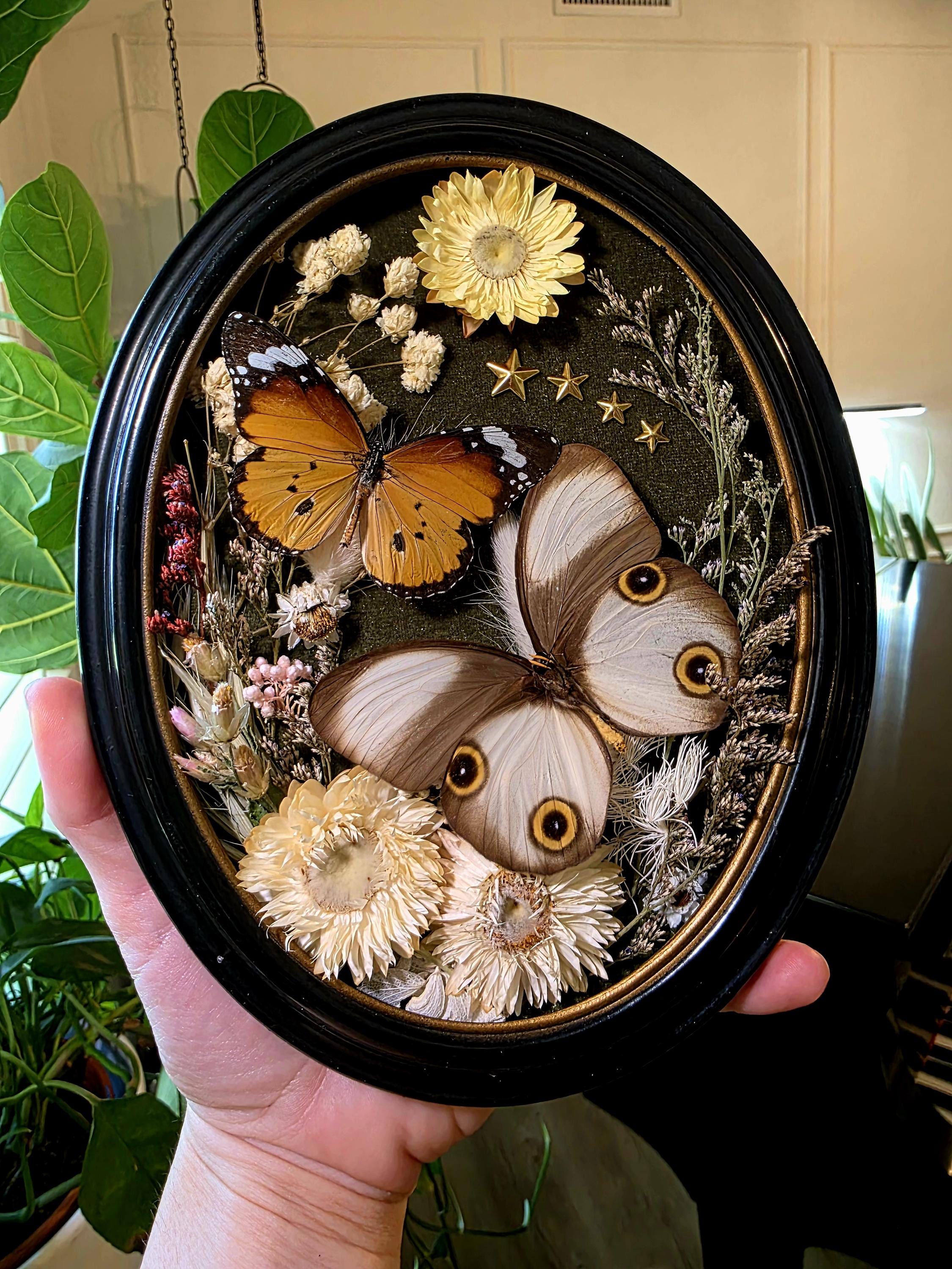 Butterfly Frame Bubble Frame - Etsy