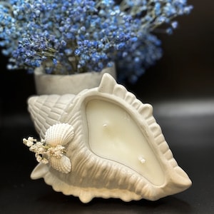 May include: A white seashell candle holder with a white candle inside. The candle holder is decorated with a small white seashell and a sprig of dried white flowers.