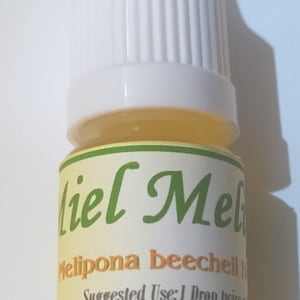 Miel De Melipona - Etsy