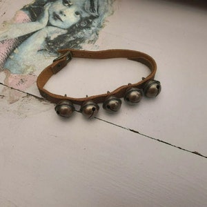 May include: A brown leather collar with five small, silver-colored bells attached. The collar has a buckle closure. The bells are evenly spaced along the collar's length. The background is a distressed white surface with a vintage illustration.
