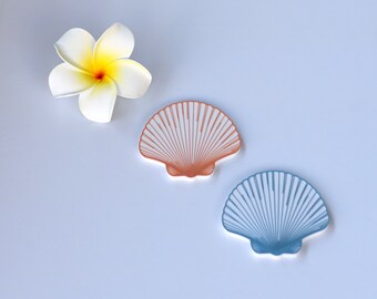 3D Raised Sand and Sky Seashell Decals - Minimalist Island Beauty