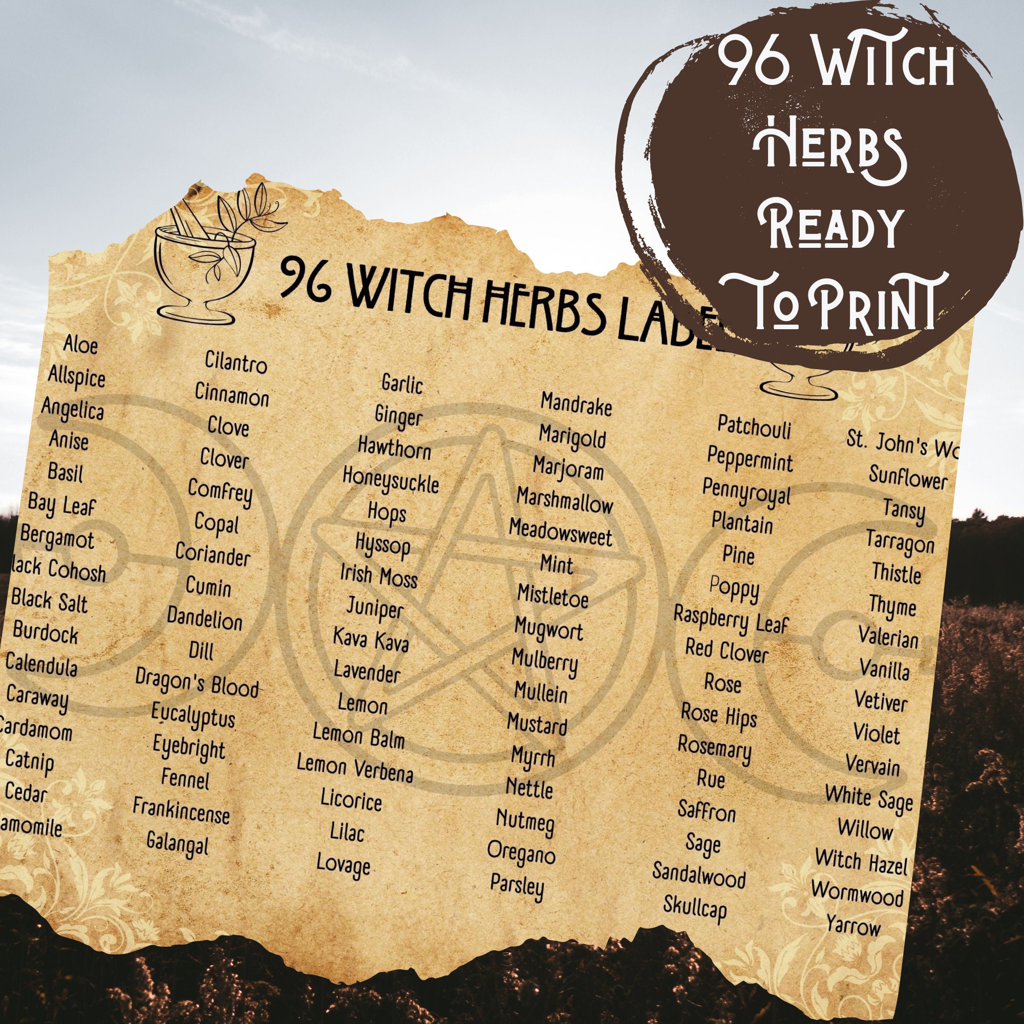 Herbalism, Spice Labels Jar, Witch Apothecary, Herb Label, Wicca Herbs ...