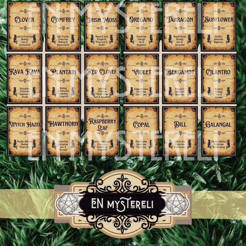 Herbalism, Spice Labels Jar, Witch Apothecary, Herb Label, Wicca Herbs ...