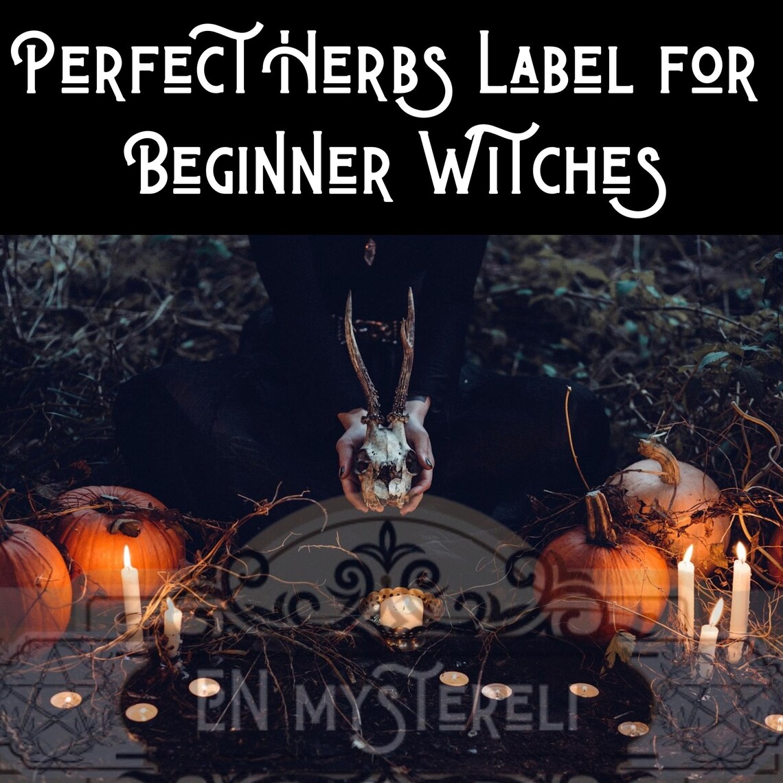 Herbalism, Spice Labels Jar, Witch Apothecary, Herb Label, Wicca Herbs ...