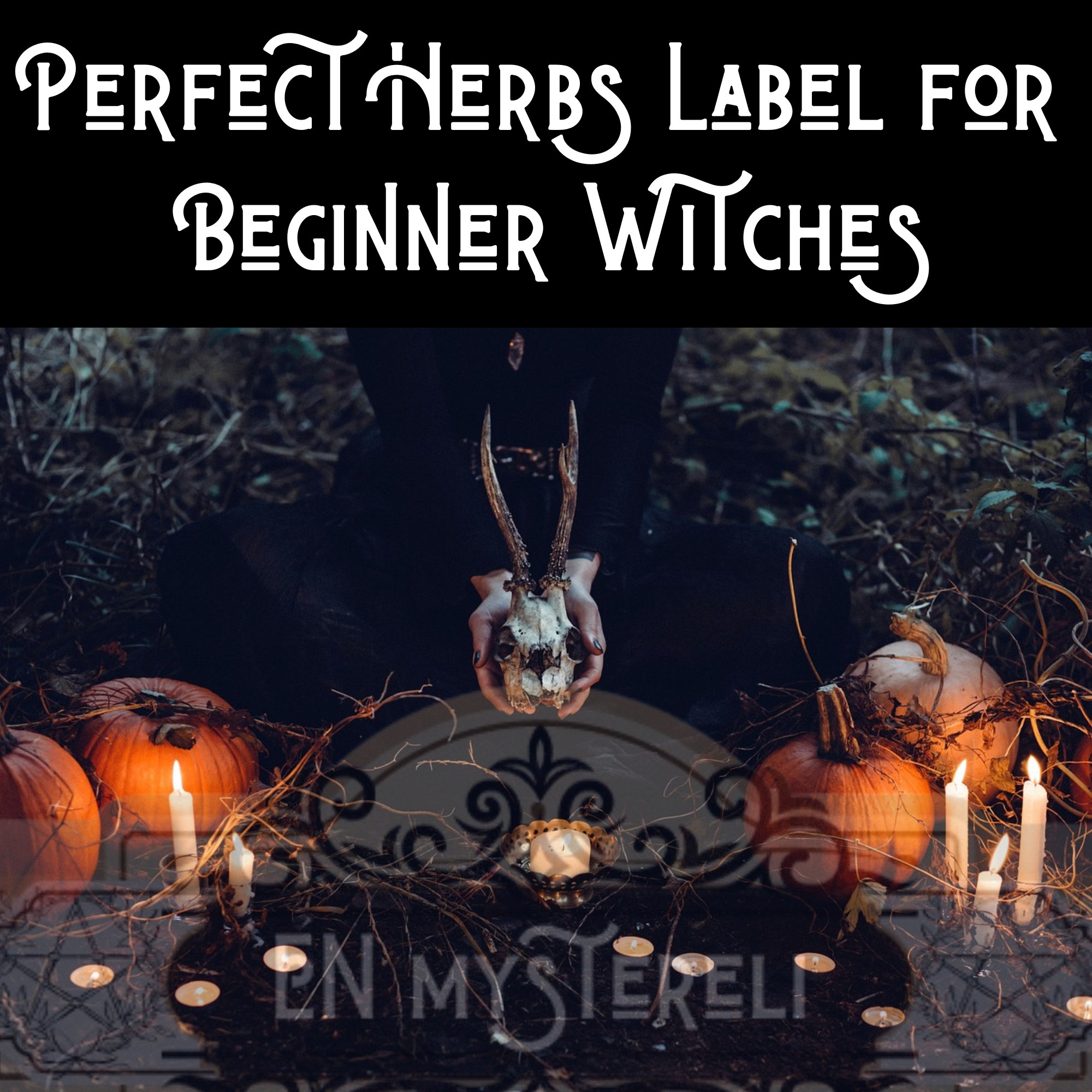 Herbalism, Spice Labels Jar, Witch Apothecary, Herb Label, Wicca Herbs ...