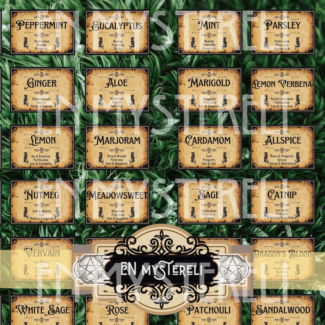 Herbalism, Spice Labels Jar, Witch Apothecary, Herb Label, Wicca Herbs ...