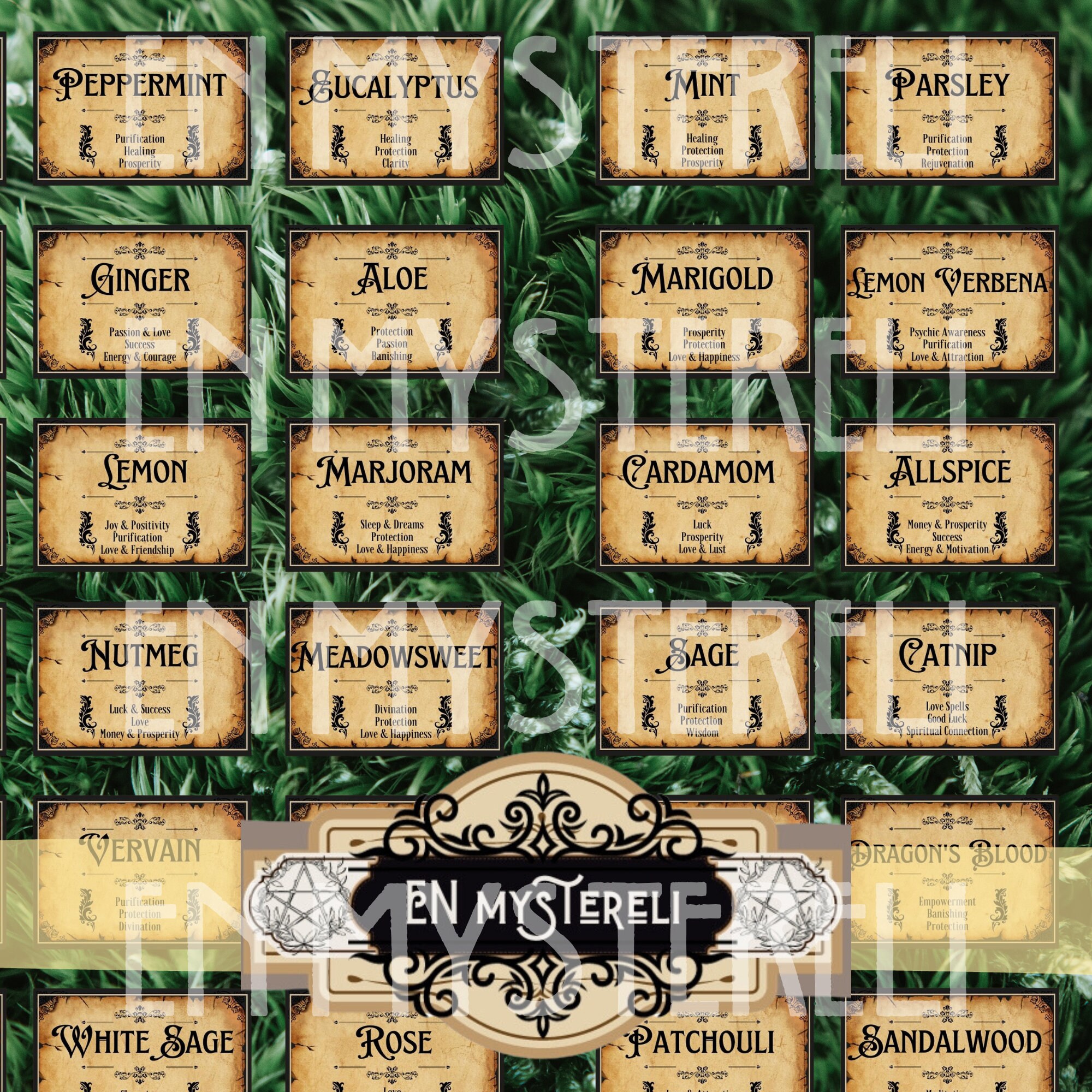 Herbalism, Spice Labels Jar, Witch Apothecary, Herb Label, Wicca Herbs ...