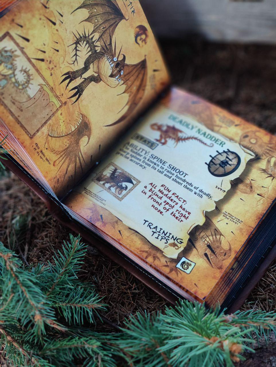 ドラゴンブック ヒックとドラゴン - Etsy 日本