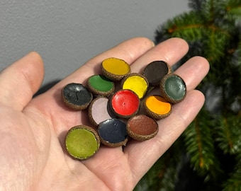 Natural colors in acorn caps. A set of 12 colors.