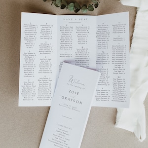 Wedding Program Template With Alphabetical Seating Chart, Tri Fold Wedding Brochure, Infographic Timeline, Editable Instant Download- SS004