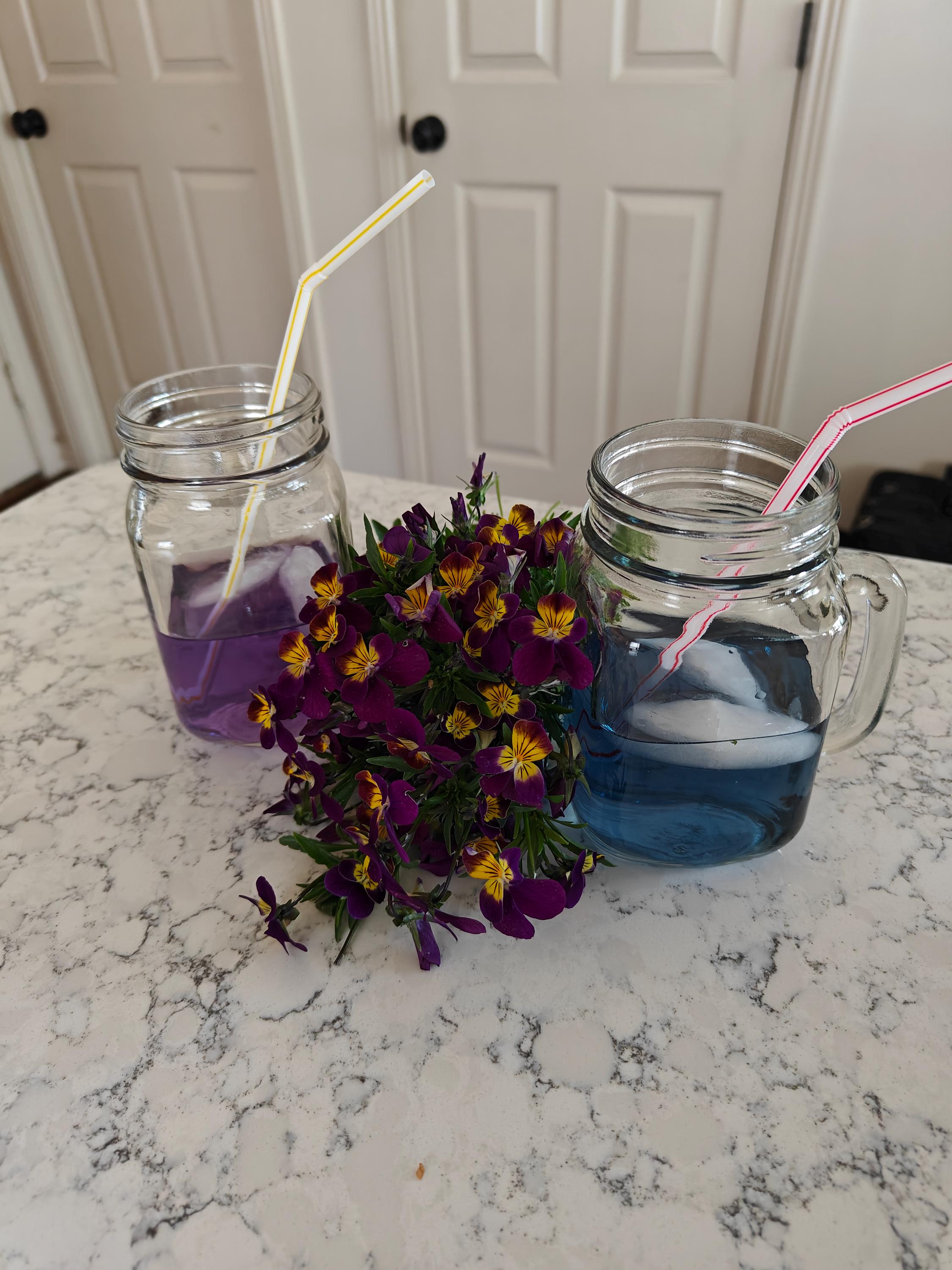 Dried Violet Petals | Edible Cocktail Garnish, Cake Topper, Tea Flower, Wedding Confetti