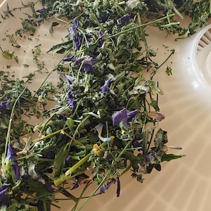 Dried Pansy Herb: Hand-Harvested Viola Tricolor Flowers, Herbal Tea