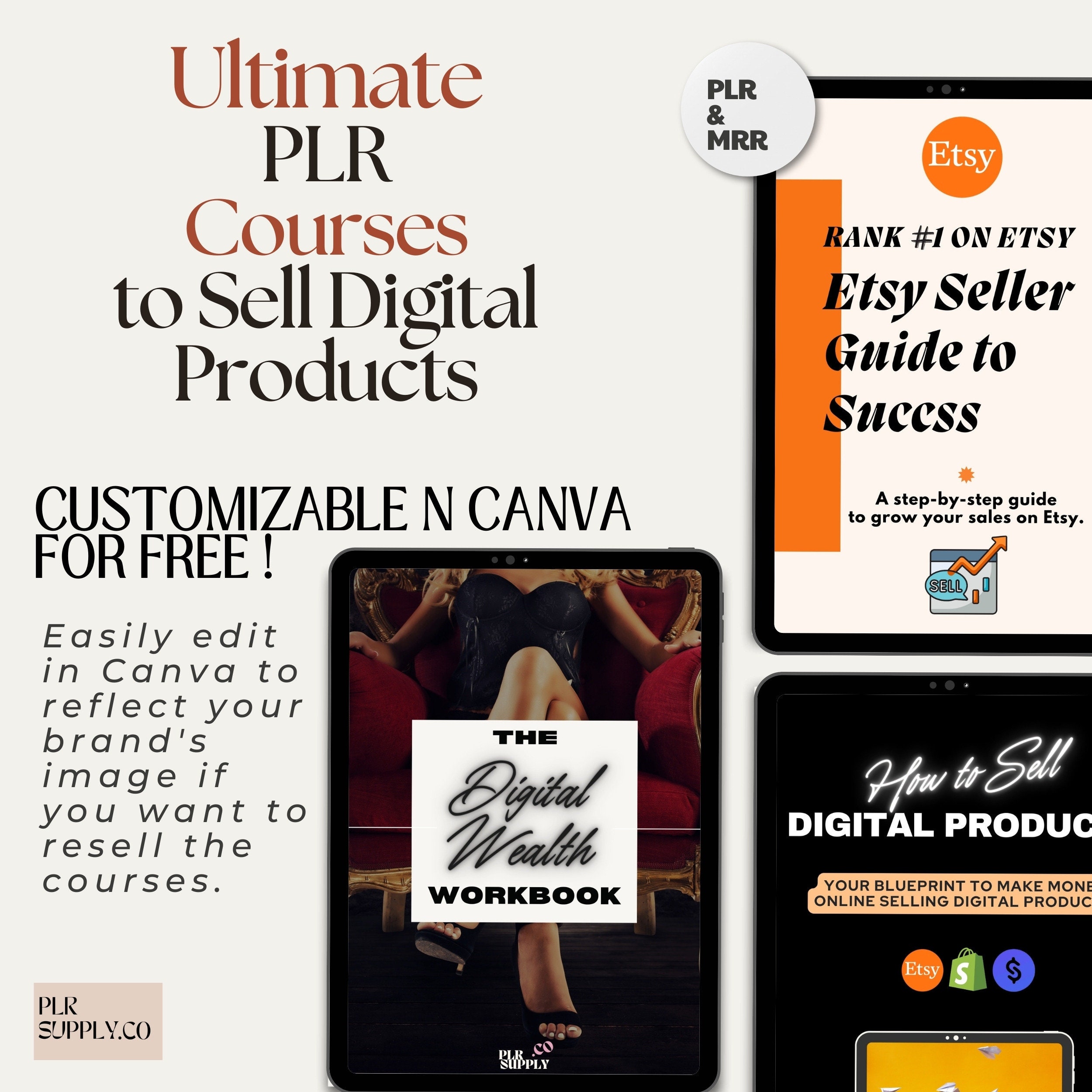 MRR Digital Product Course Bundle: Canva, Etsy, Pinterest (PLR) - Etsy