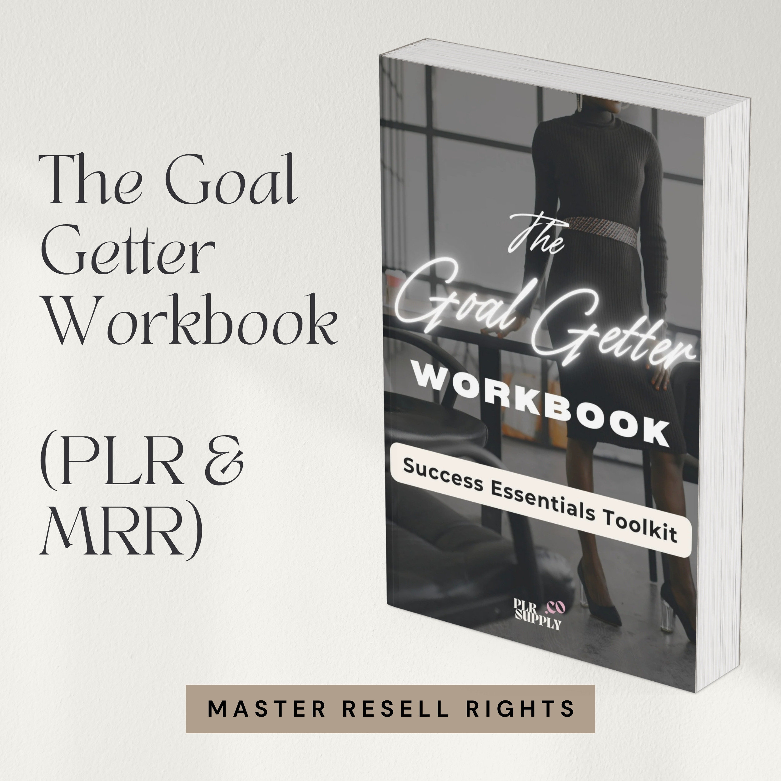 MRR Digital Product Course Bundle: Canva, Etsy, Pinterest (PLR) - Etsy