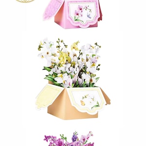Cartes pop-up boîte d'orchidées • Cartes pop-up 3D bouquet de fleurs d'orchidées