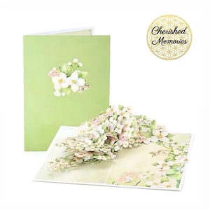 Beautiful Cream Orchid 3D pop up birthday card • thank you card • Any occasion cream floral card • orchid art • orchid branch popup cards