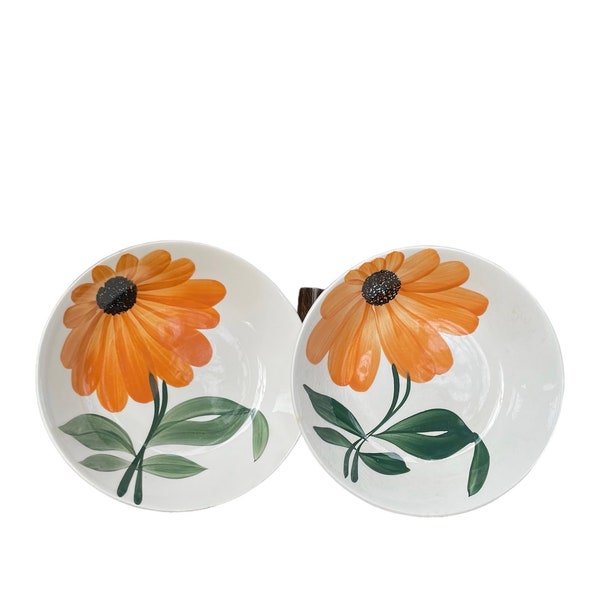 Duo d’assiettes creuses porcelaine de Gien