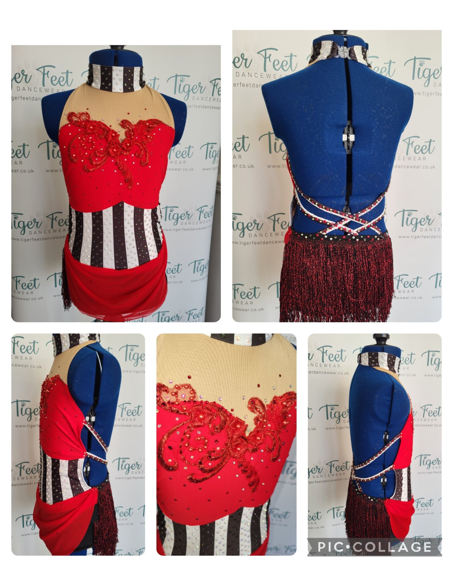 Kids Girl's Circus Costume main image 0