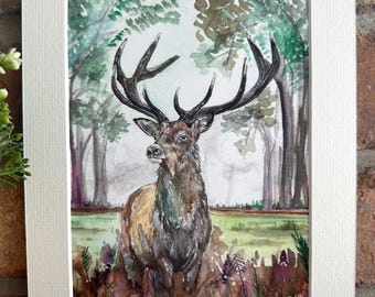 Impresión artística montada de ciervo THE YOUNG BUCK - Firmada por el artista - Impresión de regalo