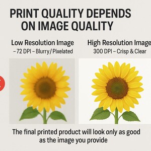 Pu&ograve; includere: Un grafico informativo intitolato PRINT QUALITY DEPENDS ON IMAGE QUALITY. Confronta un'immagine sfocata di girasole a 72 DPI contrassegnata da una X rossa con un'immagine nitida a 300 DPI. Il testo recita: The final printed product will look only as good as the image you provide.