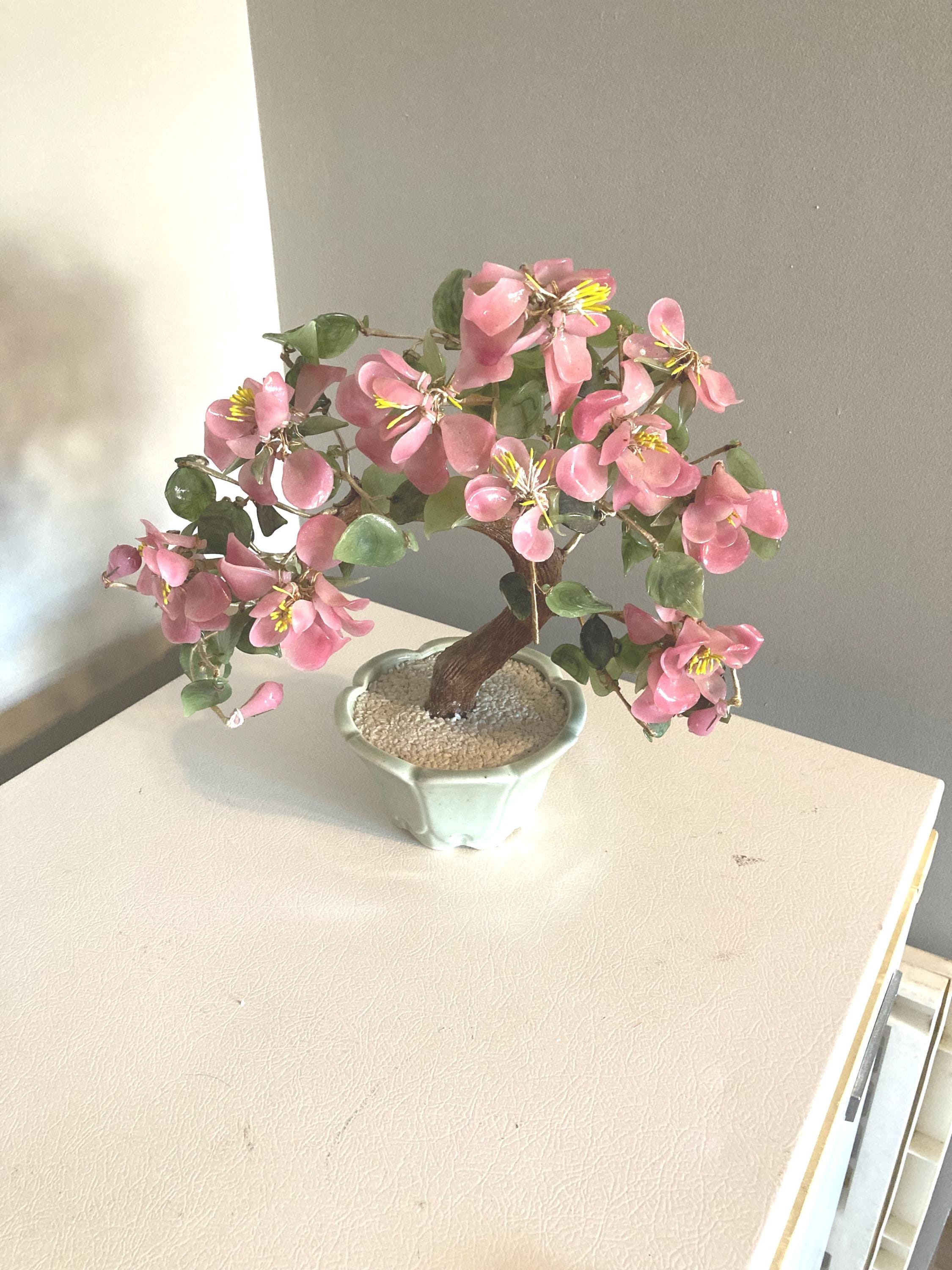 Magnolia bonsai - Etsy.de