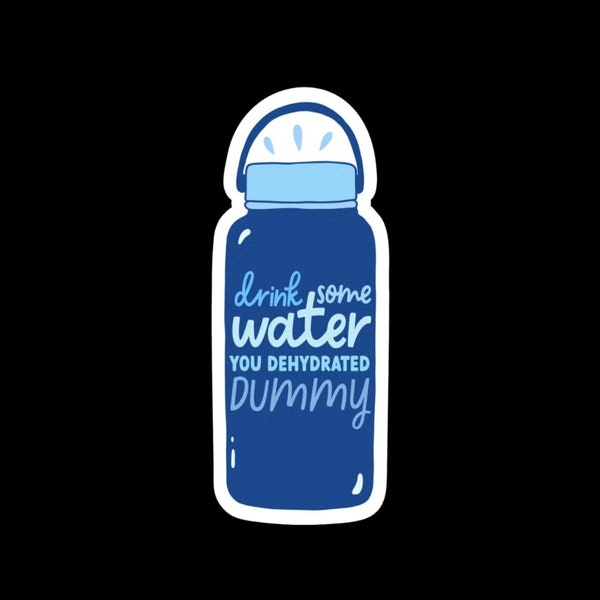 Drink Some Water You Dehydrated Dummy / Premium Die Cut Vinyl Sticker Decal /FREE & Fast Shipping / Waterproof and Scratch Resistant / Gifts