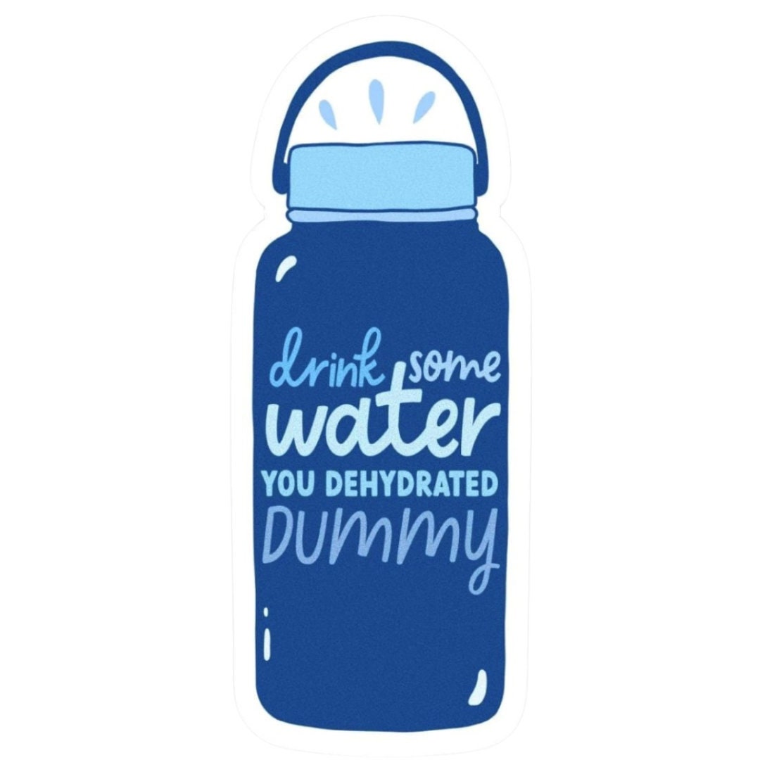 Drink Some Water You Dehydrated Dummy / Die Cut Sticker / Etsy