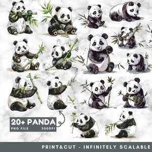Paquete de imágenes prediseñadas de panda kawaii: lindas pegatinas, PNG de dibujos animados, ¡perfectos para los amantes de los animales!