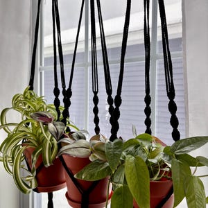 Set of 3 - Macrame Plant Hangers in Black