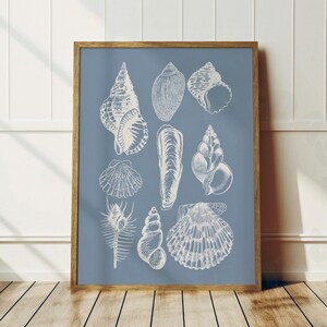 Seashells Digital Print In Coastal Blue, Trendy Coastal Cowgirl Wall Art, Beachy Printable Poster, Western Wall Art, College Apartment