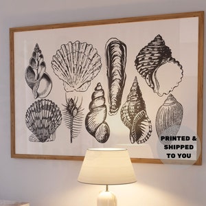 Landscape Seashells Print In Vintage Black, Trendy Coastal Cowgirl Wall Art, Beachy Printed Shipped Poster, Western Wall Decor, College