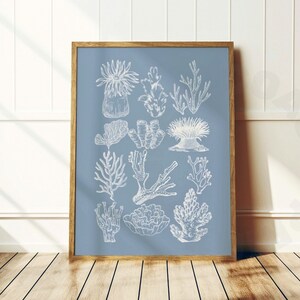 Vintage Corals Digital Print In Coastal Blue, Trendy Coastal Grandmother Wall Art, Coastal Cowgirl Printable Poster, Western Wall Decor