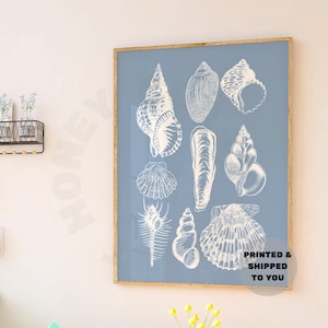 Coastal Blue Seashells Print, Trendy Coastal Cowgirl Wall Art, Beachy Printed Shipped Poster, Western Wall Art, College Apartment Essentials