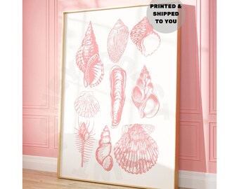 Seashell Print In Pastel Pink, Trendy Coastal Cowgirl Wall Art, Beachy Printed & Shipped Poster, Ocean Wall Art, College Apartment Essential