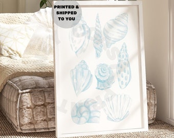 Watercolor Seashells Print In Surf Blue, Trendy Vintage Coastal Grandmother Printed Shipped Poster, Coastal Cowgirl Wall Art, College