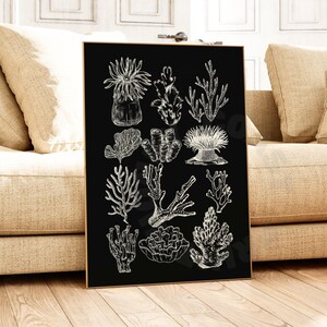 Vintage Corals Digital Print In Monotone Black, Trendy Coastal Grandmother Wall Art, Coastal Cowgirl Printable Poster, Western Wall Decor