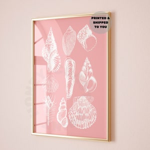 Seashell Print In Pastel Pink, Trendy Coastal Cowgirl Wall Art, Beachy Printed & Shipped Poster, Ocean Wall Art, College Apartment Essential