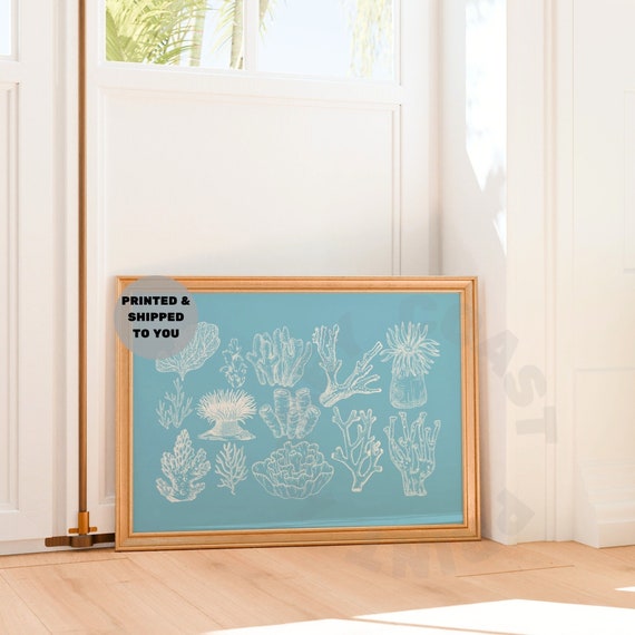 Stampe Artistiche Da Parete Con Conchiglie E Corallo, Acquerello, 40x60cm, 2 Pezzi