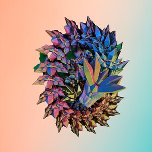 May include: A cluster of iridescent, metallic crystals in shades of purple, blue, and gold. The crystals are arranged in a circular shape, resembling a flower.