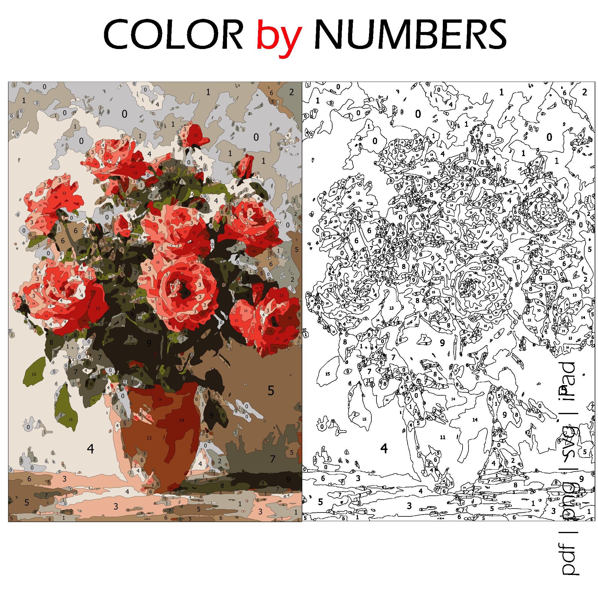 Pink Roses Color by Numbers: Printable Pages for Procreate (digital ...