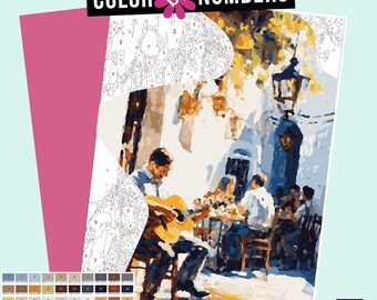 Andalusian Guitar Player Color by Numbers: Procreate iPad Printable (Digital Download)