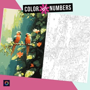 Color by Numbers for Adults | Birds With Flowers | Printable Paint by ...