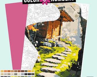 May include: Color by numbers painting kit featuring a stone pathway leading to a wooden door with a rustic house in the background. The scene is set in a garden with green grass and trees.