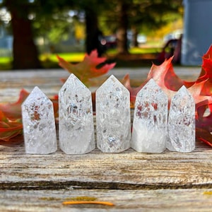 May include: Five clear quartz crystal points of varying sizes are arranged on a weathered wooden surface. The crystals have internal fractures and are surrounded by red and orange autumn leaves, with a blurred background of trees.