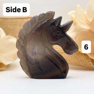 May include: A carved, dark gray unicorn figurine. The sculpture is detailed, with a flowing mane and a prominent horn. The text "Side B" is in a white box in the upper left corner, and the number "6" is in a white box on the right.