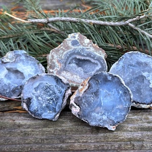 May include: Five polished, blue-grey agate geodes with white and brown edges are arranged on a wooden surface. The geodes are surrounded by green pine needles and a small branch. The geodes have a crystalline interior.