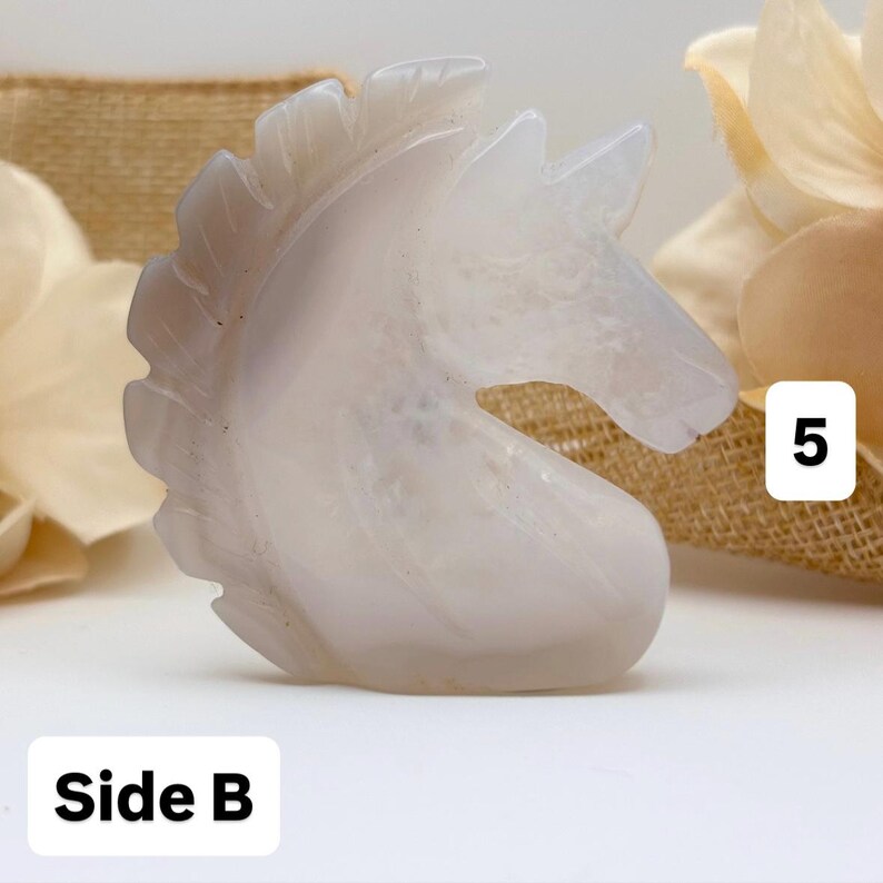 May include: A carved, light-colored stone sculpture of a horse's head. The sculpture is detailed with a flowing mane and a smooth, polished surface. The text "Side B" is visible at the bottom, and the number "5" is in the upper right corner.