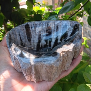 Petrified wood bowl / legno pietrificato / verstend hout / versteinertes Holz /Schale aus versteinertem Holz