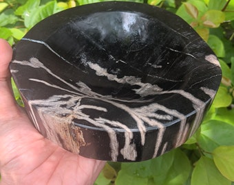Petrified wood bowl polished